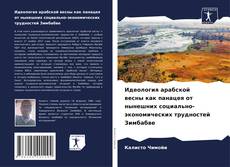 Bookcover of Идеология арабской весны как панацея от нынешних социально-экономических трудностей Зимбабве