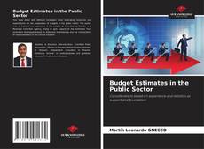 Bookcover of Budget Estimates in the Public Sector
