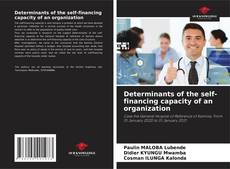 Copertina di Determinants of the self-financing capacity of an organization