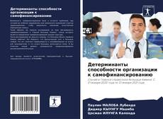 Обложка Детерминанты способности организации к самофинансированию