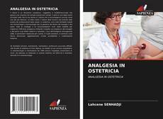 Capa do livro de ANALGESIA IN OSTETRICIA 