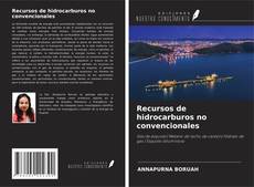 Copertina di Recursos de hidrocarburos no convencionales