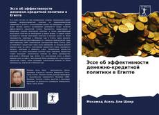 Bookcover of Эссе об эффективности денежно-кредитной политики в Египте