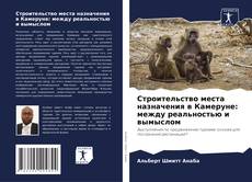 Buchcover von Строительство места назначения в Камеруне: между реальностью и вымыслом
