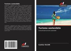 Turismo sostenibile kitap kapağı