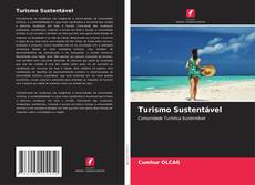 Bookcover of Turismo Sustentável