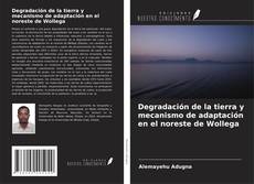 Capa do livro de Degradación de la tierra y mecanismo de adaptación en el noreste de Wollega 