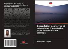 Bookcover of Dégradation des terres et mécanisme d'adaptation dans le nord-est du Wollega