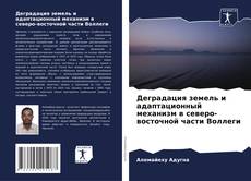 Copertina di Деградация земель и адаптационный механизм в северо-восточной части Воллеги