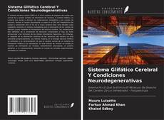Sistema Glifático Cerebral Y Condiciones Neurodegenerativas kitap kapağı