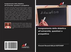 Copertina di Insegnamento della didattica all'università, questioni e prospettive