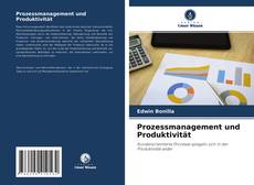 Capa do livro de Prozessmanagement und Produktivität 