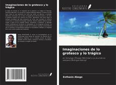 Bookcover of Imaginaciones de lo grotesco y lo trágico