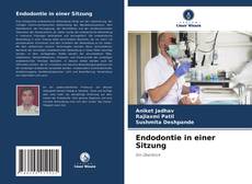 Bookcover of Endodontie in einer Sitzung
