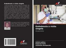 Endodonzia a visita singola kitap kapağı