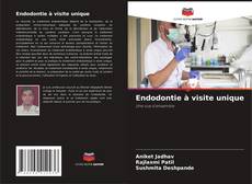 Buchcover von Endodontie à visite unique