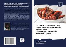 Portada del libro de СУШКА ТОМАТОВ ПРИ ПОМОЩИ СОЛНЕЧНОЙ ЭНЕРГИИ С ПРИНУДИТЕЛЬНОЙ КОНВЕКЦИЕЙ