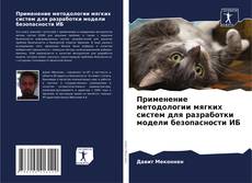 Buchcover von Применение методологии мягких систем для разработки модели безопасности ИБ