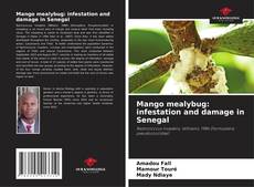 Bookcover of Mango mealybug: infestation and damage in Senegal