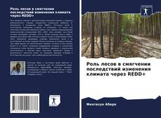 Copertina di Роль лесов в смягчении последствий изменения климата через REDD+