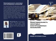 Copertina di Нематериальность некоторых конституционных положений