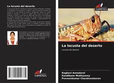 Bookcover of La locusta del deserto