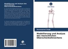 Copertina di Modellierung und Analyse des menschlichen Oberschenkelknochens