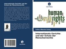 Copertina di Internationale Gerichte und der Schutz der Menschenrechte