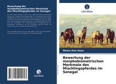 Copertina di Bewertung der morphobiometrischen Merkmale des Mischlingspferdes im Senegal