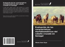 Buchcover von Evaluación de las características morfobiométricas del caballo cruzado en Senegal