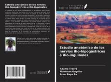 Buchcover von Estudio anatómico de los nervios ilio-hipogástricos e ilio-inguinales