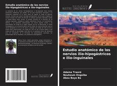 Portada del libro de Estudio anatómico de los nervios ilio-hipogástricos e ilio-inguinales