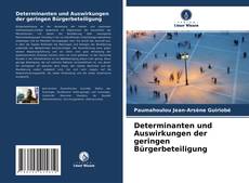 Determinanten und Auswirkungen der geringen Bürgerbeteiligung的封面