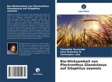 Bio-Wirksamkeit von Plectranthus Glandulosus auf Sitophilus zeamais的封面