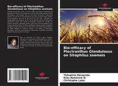 Couverture de Bio-efficacy of Plectranthus Glandulosus on Sitophilus zeamais