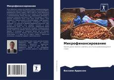 Buchcover von Микрофинансирование