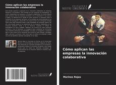 Cómo aplican las empresas la innovación colaborativa kitap kapağı