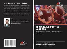 Buchcover von IL MANUALE PRATICO ALLEATO