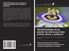 Buchcover von Morfofisiología de la planta de maracuyá bajo estrés salino y potásico