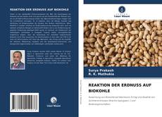 Bookcover of REAKTION DER ERDNUSS AUF BIOKOHLE
