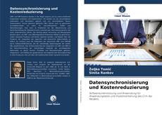 Buchcover von Datensynchronisierung und Kostenreduzierung