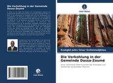 Die Verkohlung in der Gemeinde Dassa-Zoumé的封面