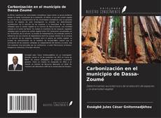 Carbonización en el municipio de Dassa-Zoumé kitap kapağı