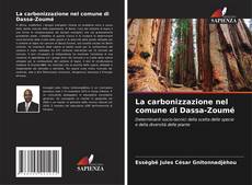 Bookcover of La carbonizzazione nel comune di Dassa-Zoumé