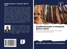 Bookcover of Карбонизация в коммуне Дасса-Зуме