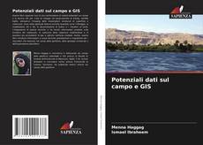 Capa do livro de Potenziali dati sul campo e GIS 