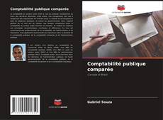 Comptabilité publique comparée kitap kapağı