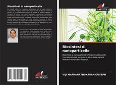 Capa do livro de Biosintesi di nanoparticelle 