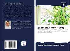 Capa do livro de Биосинтез наночастиц 