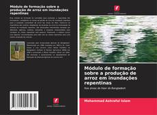 Buchcover von Módulo de formação sobre a produção de arroz em inundações repentinas